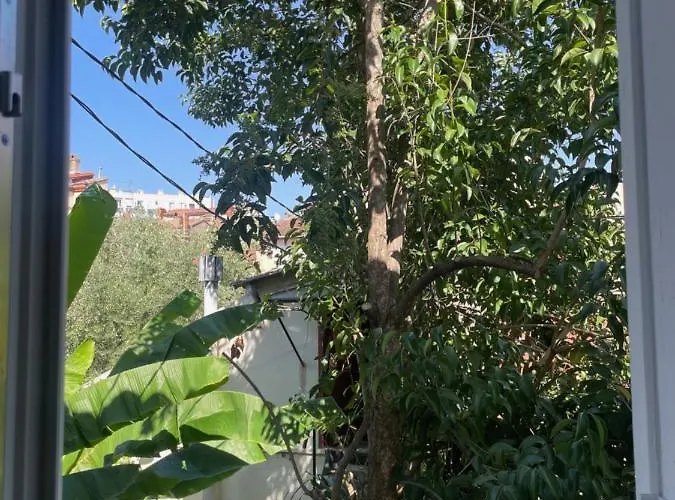 Apartamento Laa Conciergerie, L'écrin Des Toulouse